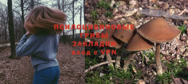 гашиш Дмитриев