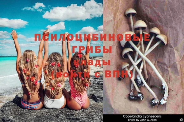 гашиш Дмитриев
